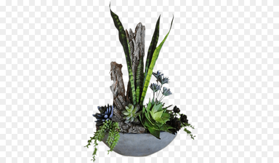 Ikebana, Flower, Flower Arrangement, Plant, Potted Plant Free Transparent Png