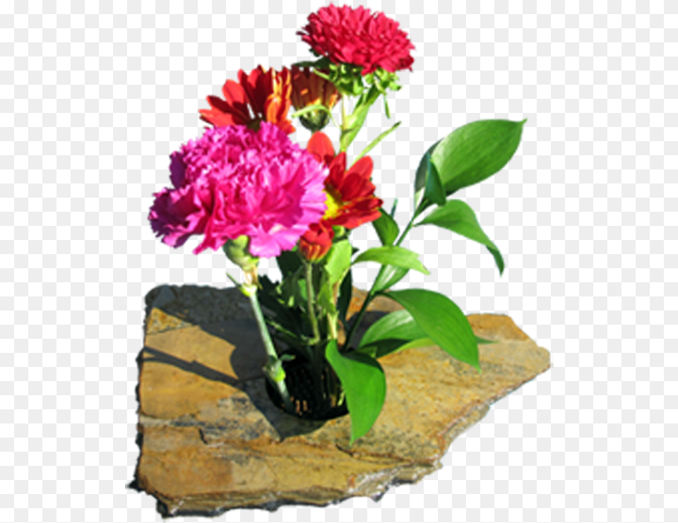 Ikebana Is The Art Of Japanese Flower Arranging Vase, Carnation, Flower Arrangement, Flower Bouquet, Plant Png