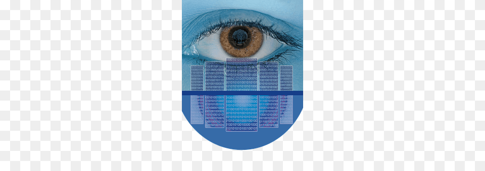 Il Contact Lens, Animal, Fish, Sea Life Free Png