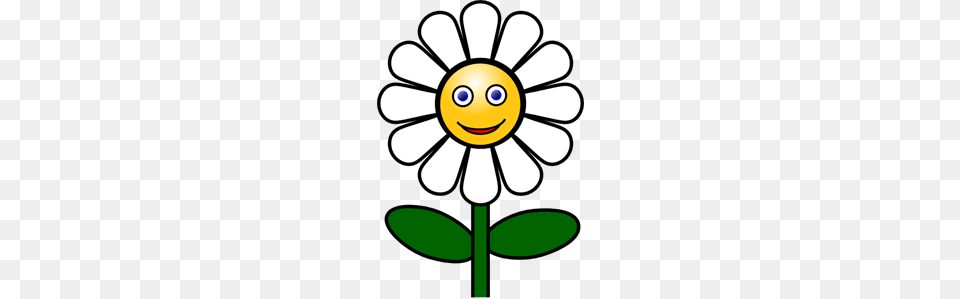 Il Images Icon Cliparts, Daisy, Flower, Plant, Nature Png