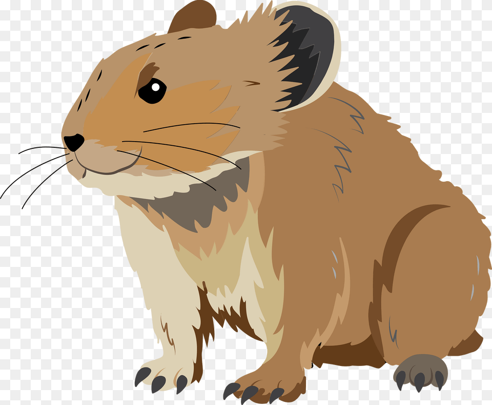 Ili Pika Clipart, Animal, Mammal, Face, Head Free Png