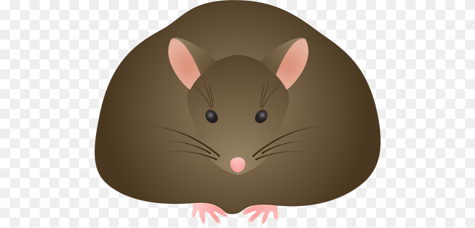 Ill Fat Brown Mouse Fat Mouse Clip Art, Animal, Mammal, Rodent, Rat Free Png