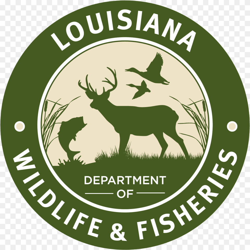Illegal Deer Hunting Violations Louisiana Department Of Wildlife And Fisheries, Animal, Mammal, Elk, Logo Free Transparent Png