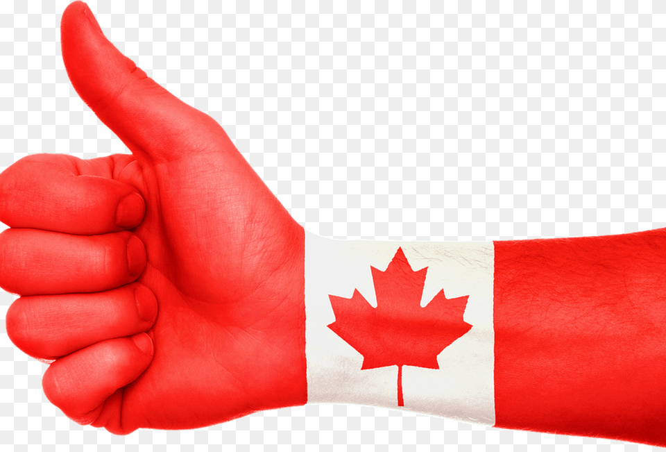 Illegal Immigrants Face Stark Choices Many Look To Canada Flag, Clothing, Plant, Glove, Leaf Png