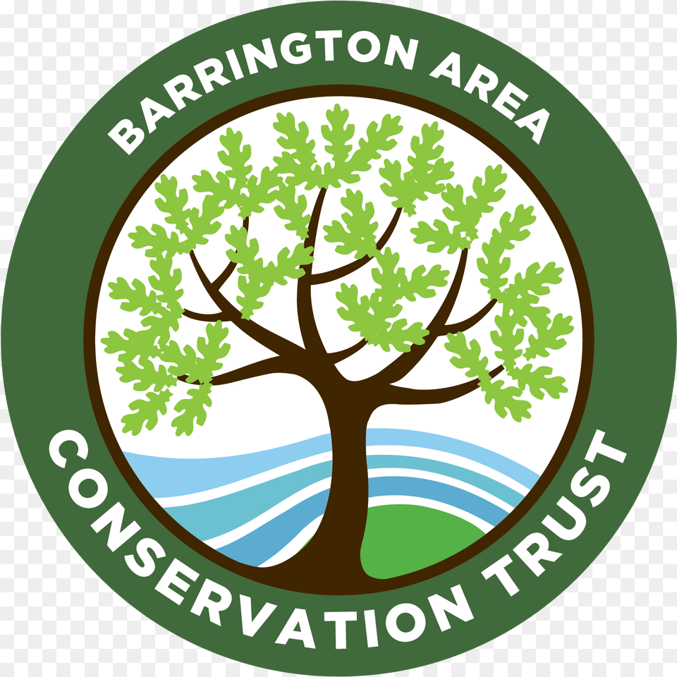 Illinois Landscape Contractors Association Barrington Circle, Logo, Vegetation, Tree, Plant Png