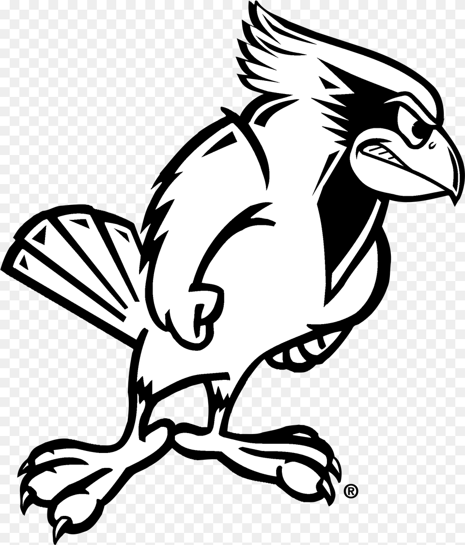 Illinois State Redbird Logo Black Illinois State Redbirds, Animal, Bird, Jay, Baby Free Transparent Png