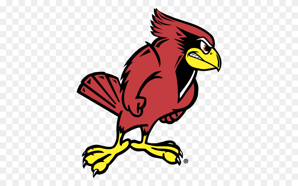 Illinois State Redbird Logo Vector Transparent, Animal, Beak, Bird, Person Free Png