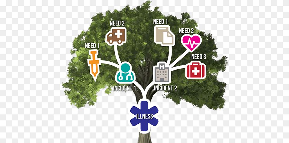 Illness Tree Tree, Woodland, Vegetation, Plant, Outdoors Free Transparent Png