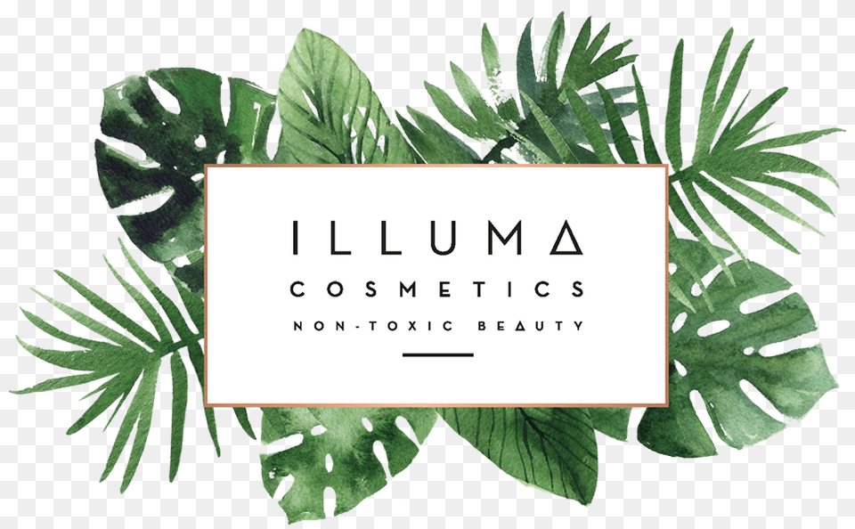 Illuma Cosmetic Toxic Logo, Vegetation, Plant, Leaf, Fern Png