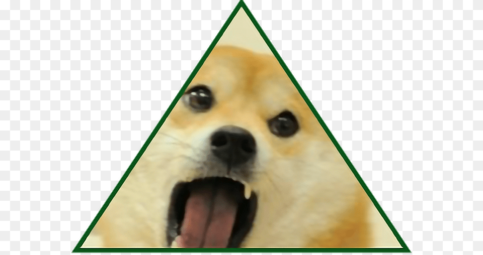 Illuminati Doge Meme Memesfreetoedit Red Doge Meme, Adult, Person, Female, Woman Png Image