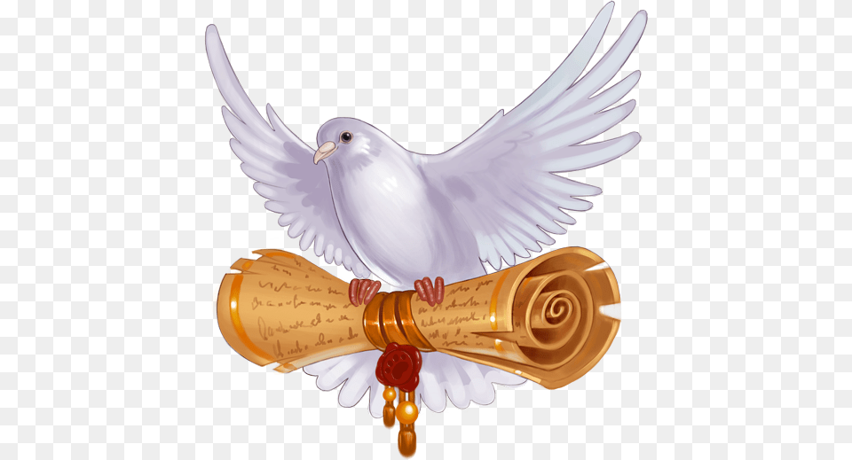 Illus Pigeon Pigeons And Doves, Animal, Bird, Dove Free Png