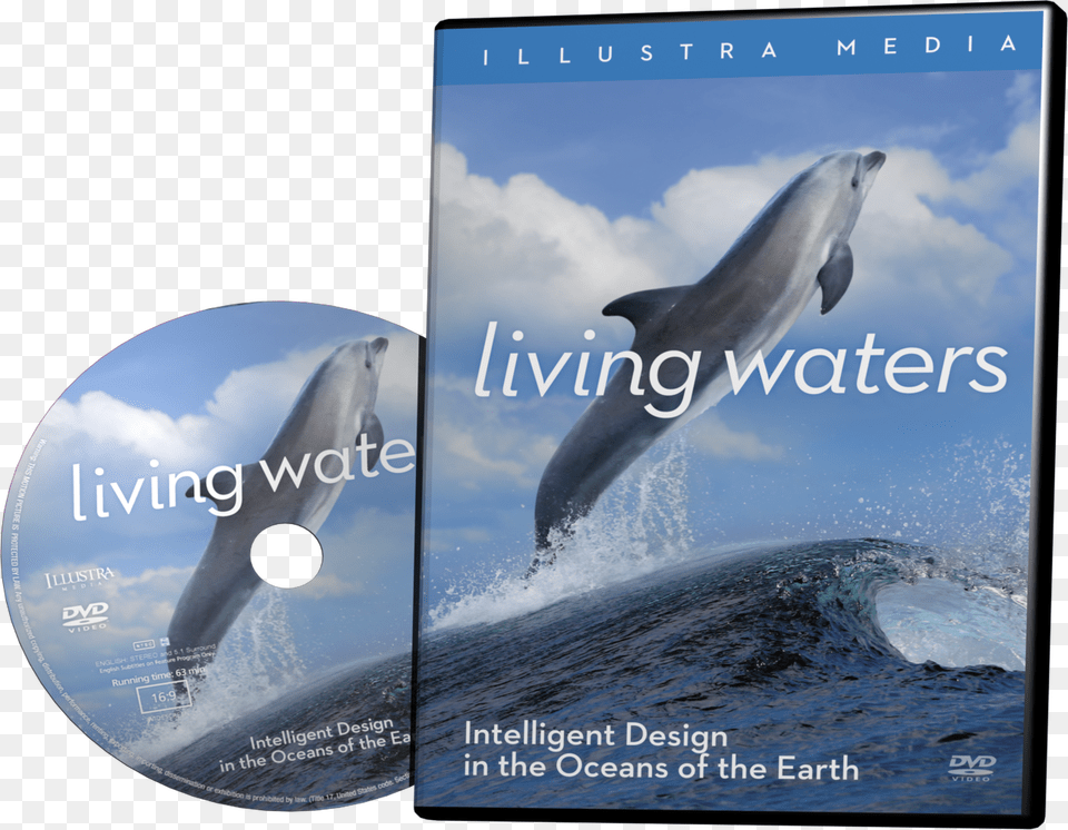 Illustra Media Living Waters, Animal, Dolphin, Mammal, Sea Life Png Image