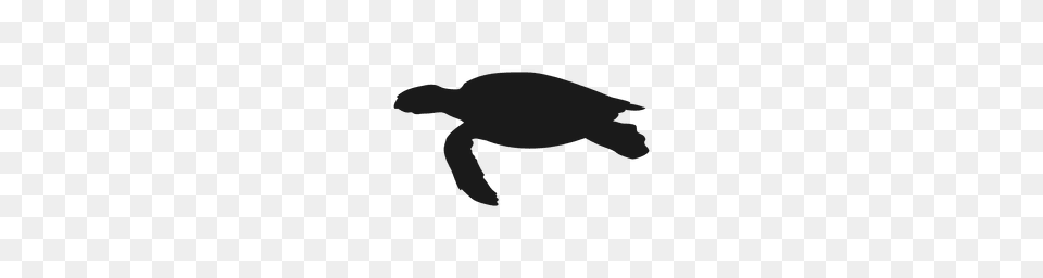 Illustrated And Isolated Turtle, Animal, Reptile, Sea Life, Sea Turtle Free Transparent Png