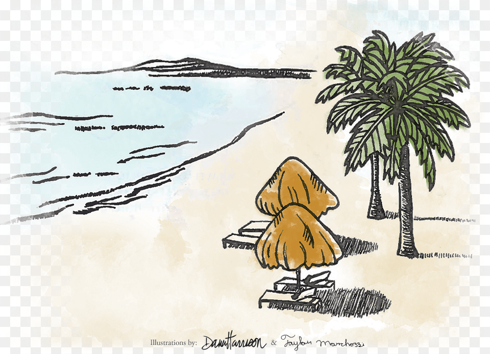 Illustrated Beach Scene Drawing, Tree, Plant, Palm Tree, Vegetation Free Png