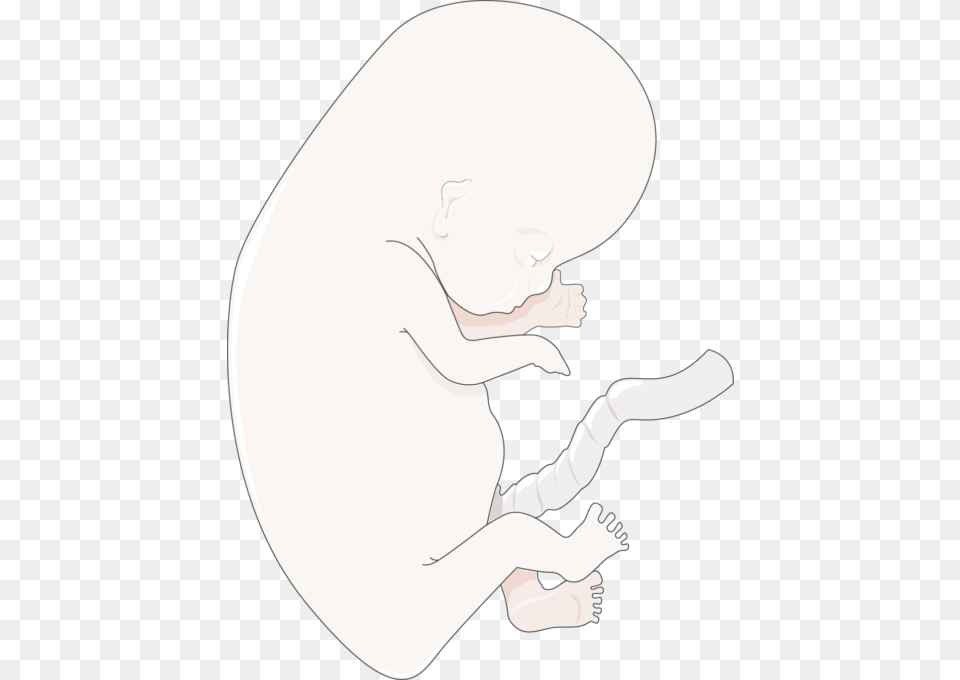 Illustration, Baby, Person Free Png