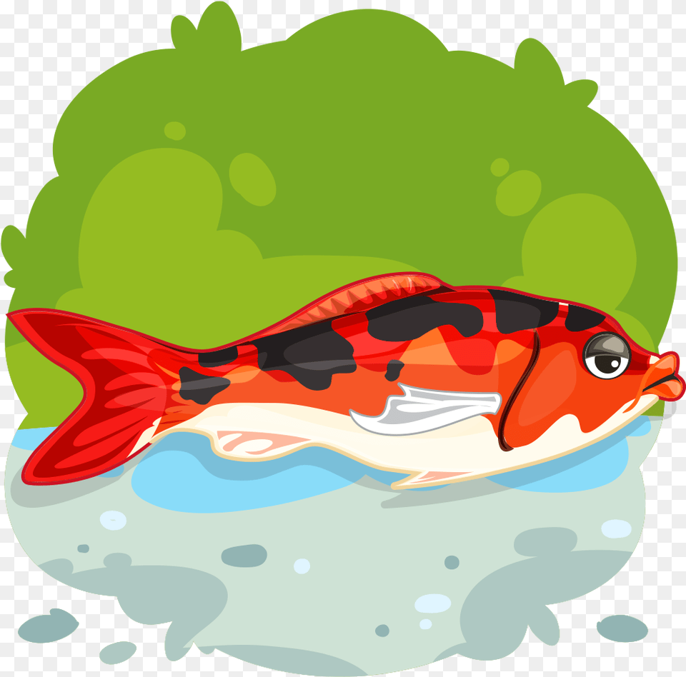 Illustration, Animal, Sea Life, Fish, Carp Free Transparent Png