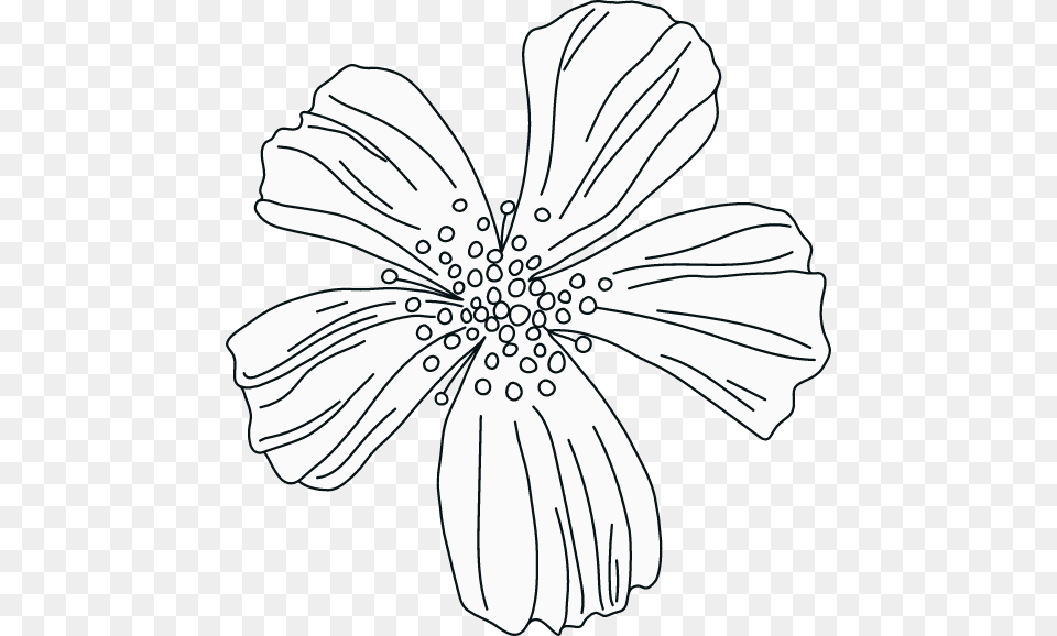 Illustration, Plant, Petal, Daisy, Flower Png Image