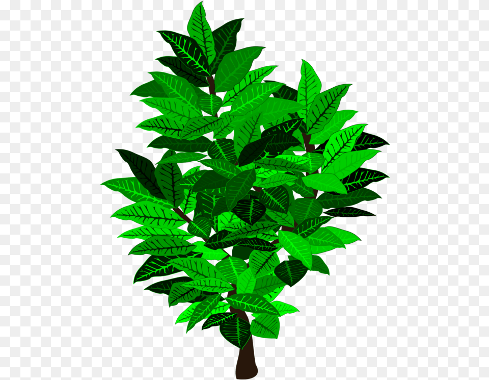 Illustration, Green, Leaf, Plant, Vegetation Png