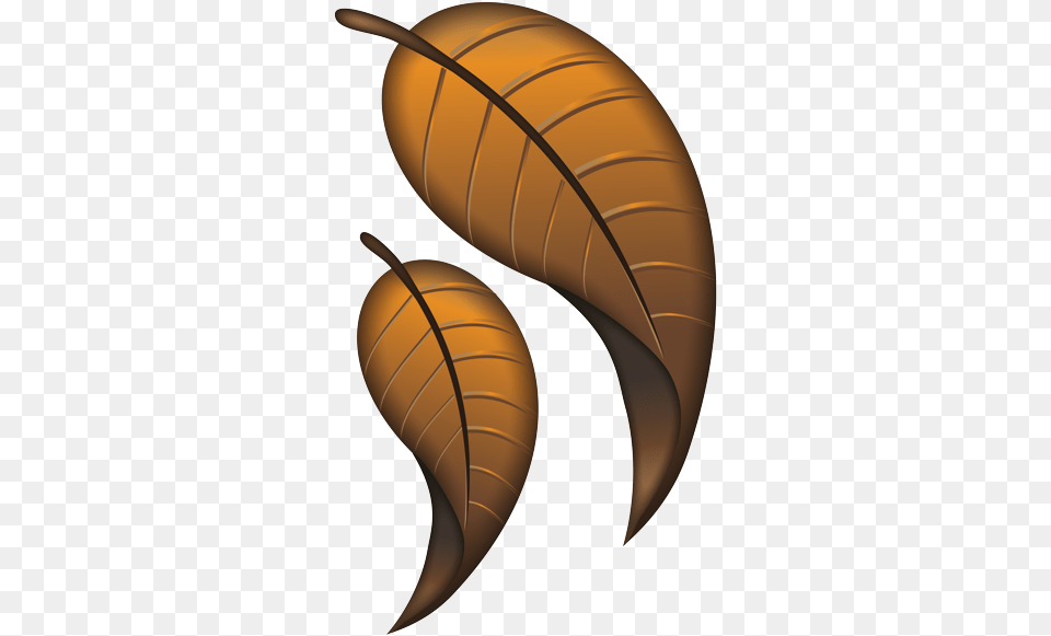 Illustration, Leaf, Plant Png