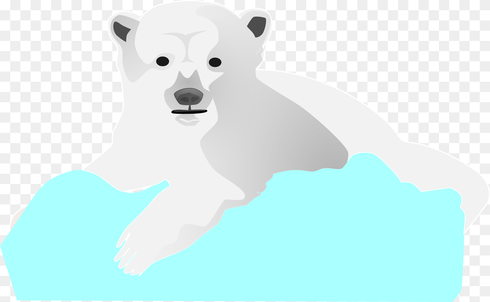 Illustration, Animal, Wildlife, Mammal, Bear Free Transparent Png