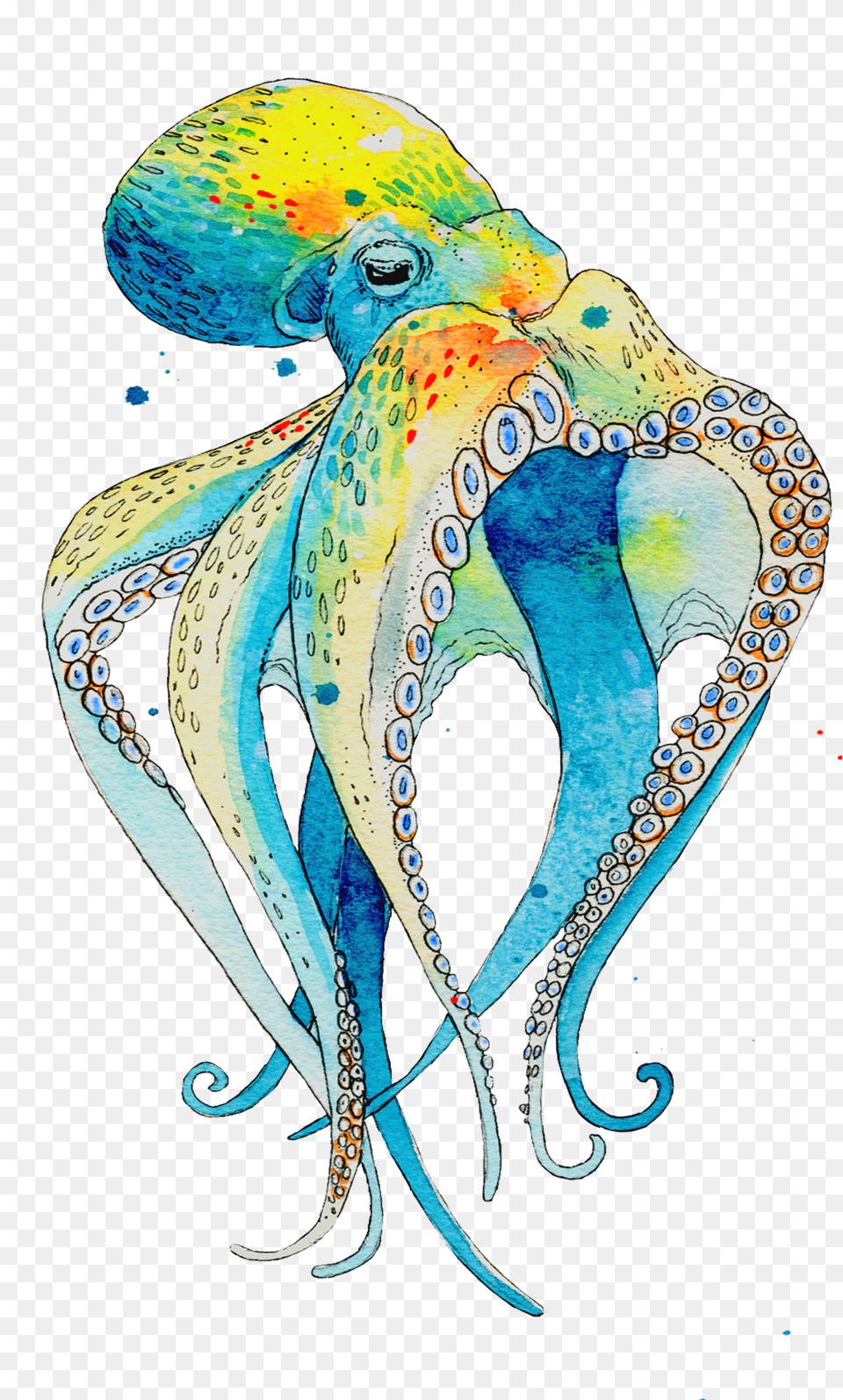 Illustration Png