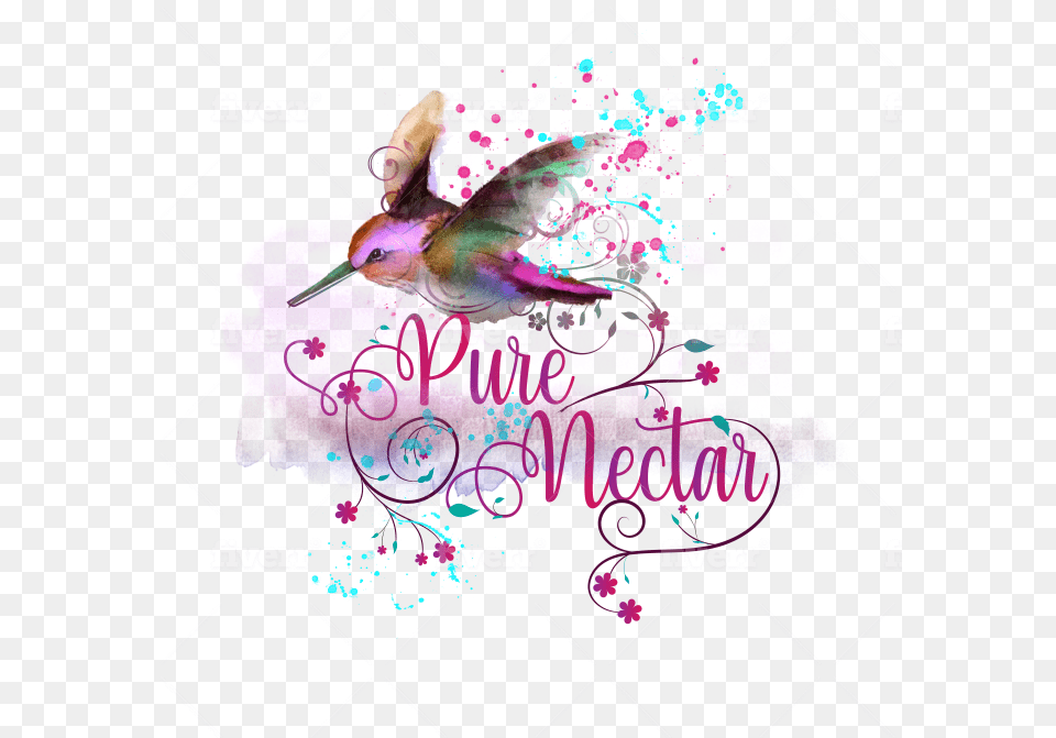 Illustration, Purple, Animal, Bird, Hummingbird Png Image