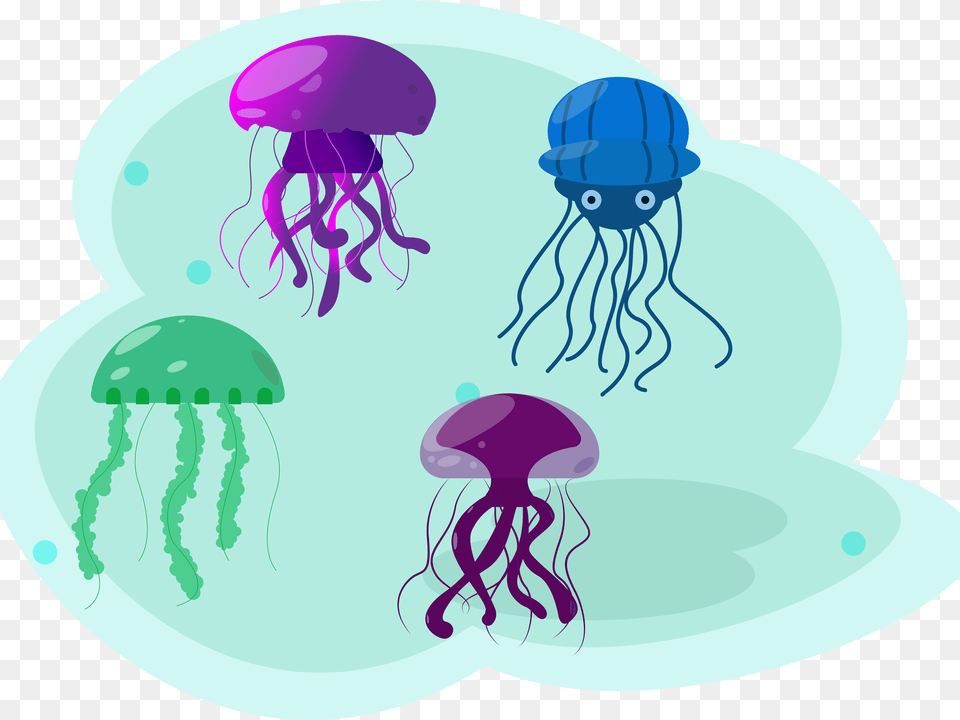 Illustration, Animal, Invertebrate, Jellyfish, Sea Life Png