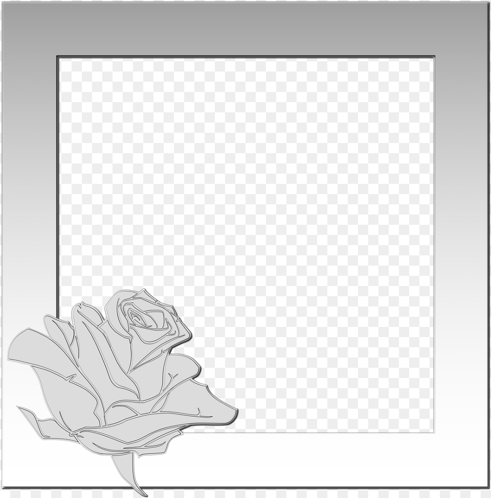 Illustration, Flower, Plant, Rose, Art Free Png