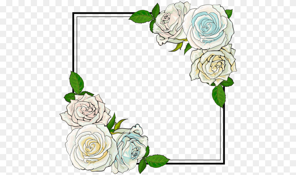 Illustration, Flower, Plant, Rose, Art Free Png