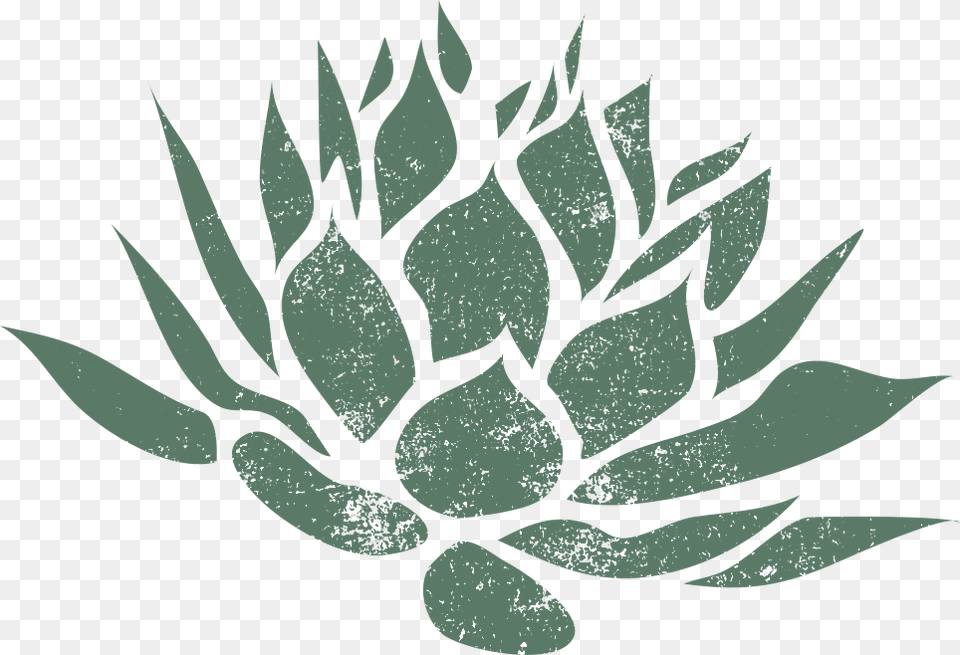 Illustration, Leaf, Plant Free Png