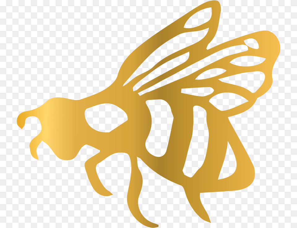 Illustration, Animal, Bee, Insect, Invertebrate Free Transparent Png
