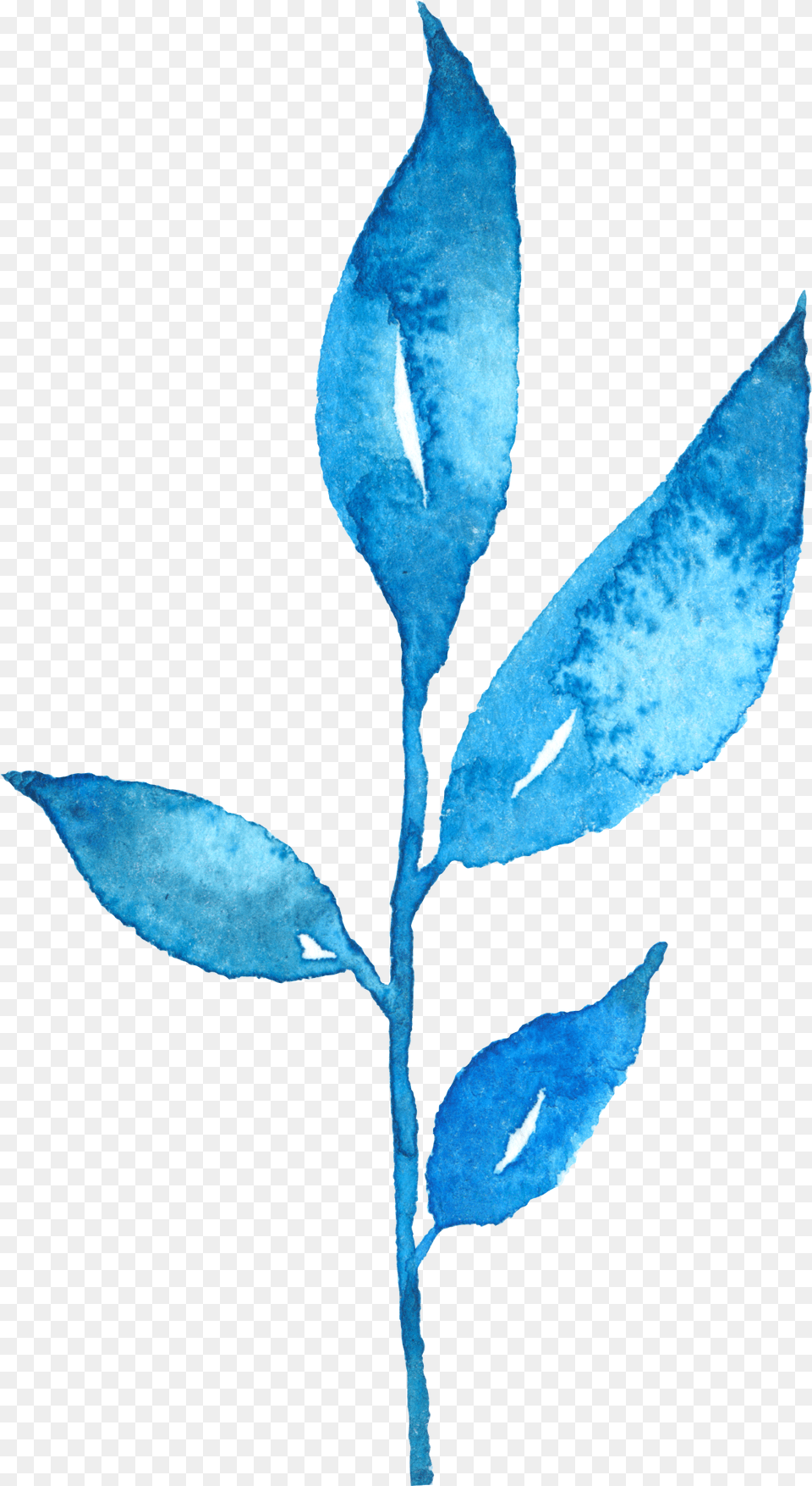 Illustration, Ice, Leaf, Plant, Outdoors Png Image