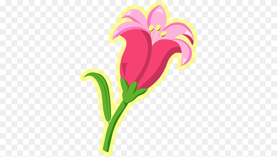 Illustration, Flower, Plant, Petal, Dynamite Png Image