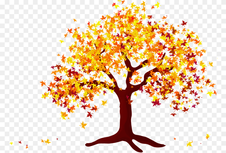 Illustration, Leaf, Plant, Tree, Maple Png Image