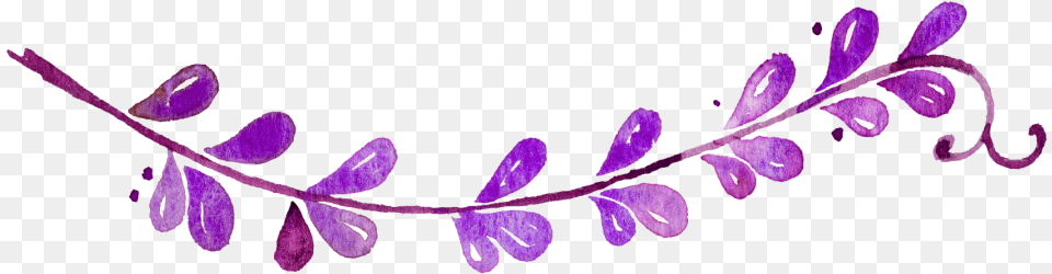 Illustration, Flower, Petal, Plant, Purple Png Image
