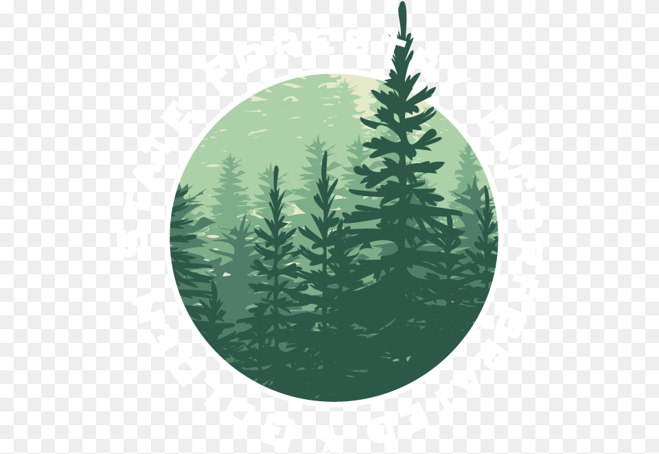 Illustration, Vegetation, Tree, Plant, Pine Free Png