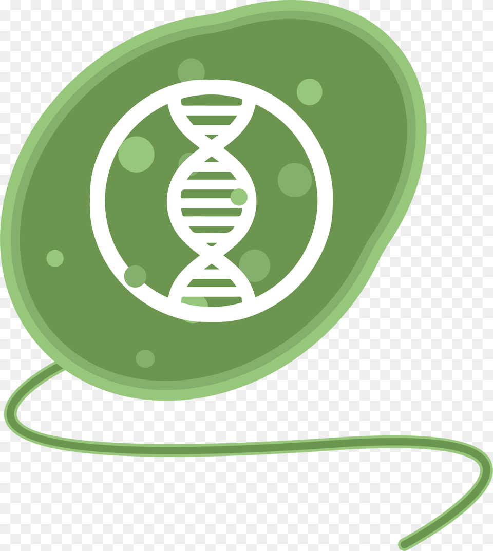 Illustration Png Image