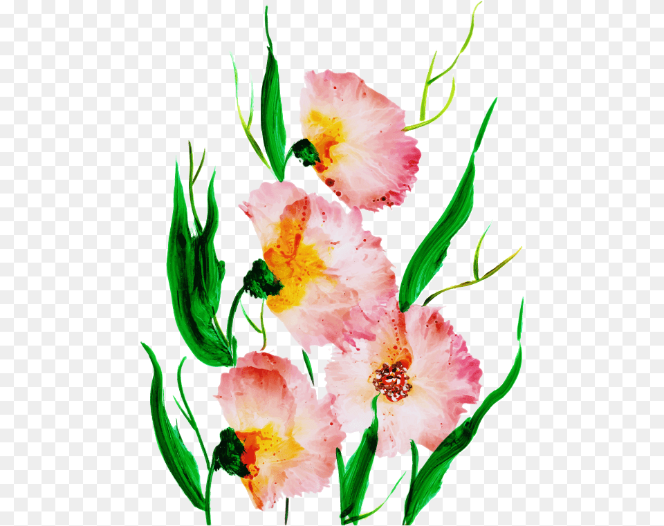 Illustration, Flower, Plant, Petal, Anther Free Png Download