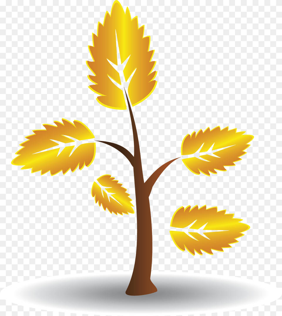 Illustration, Leaf, Plant, Tree, Herbal Png