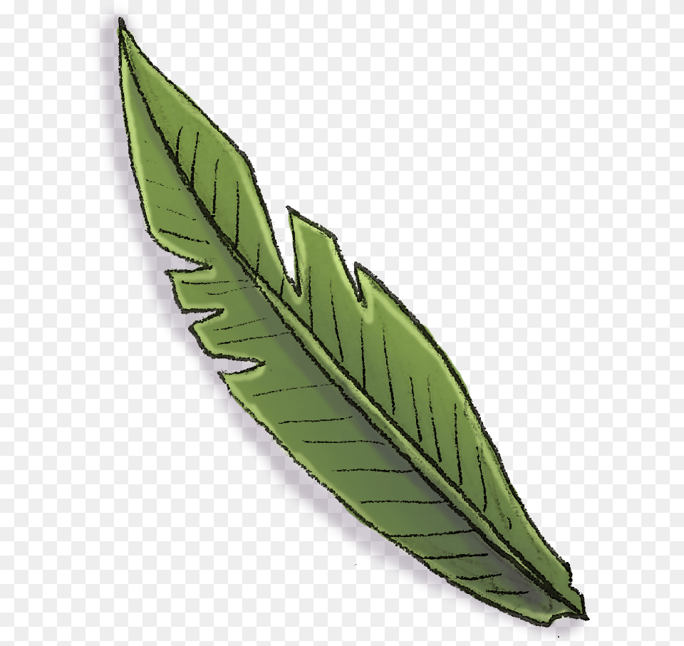 Illustration, Leaf, Plant Png Image