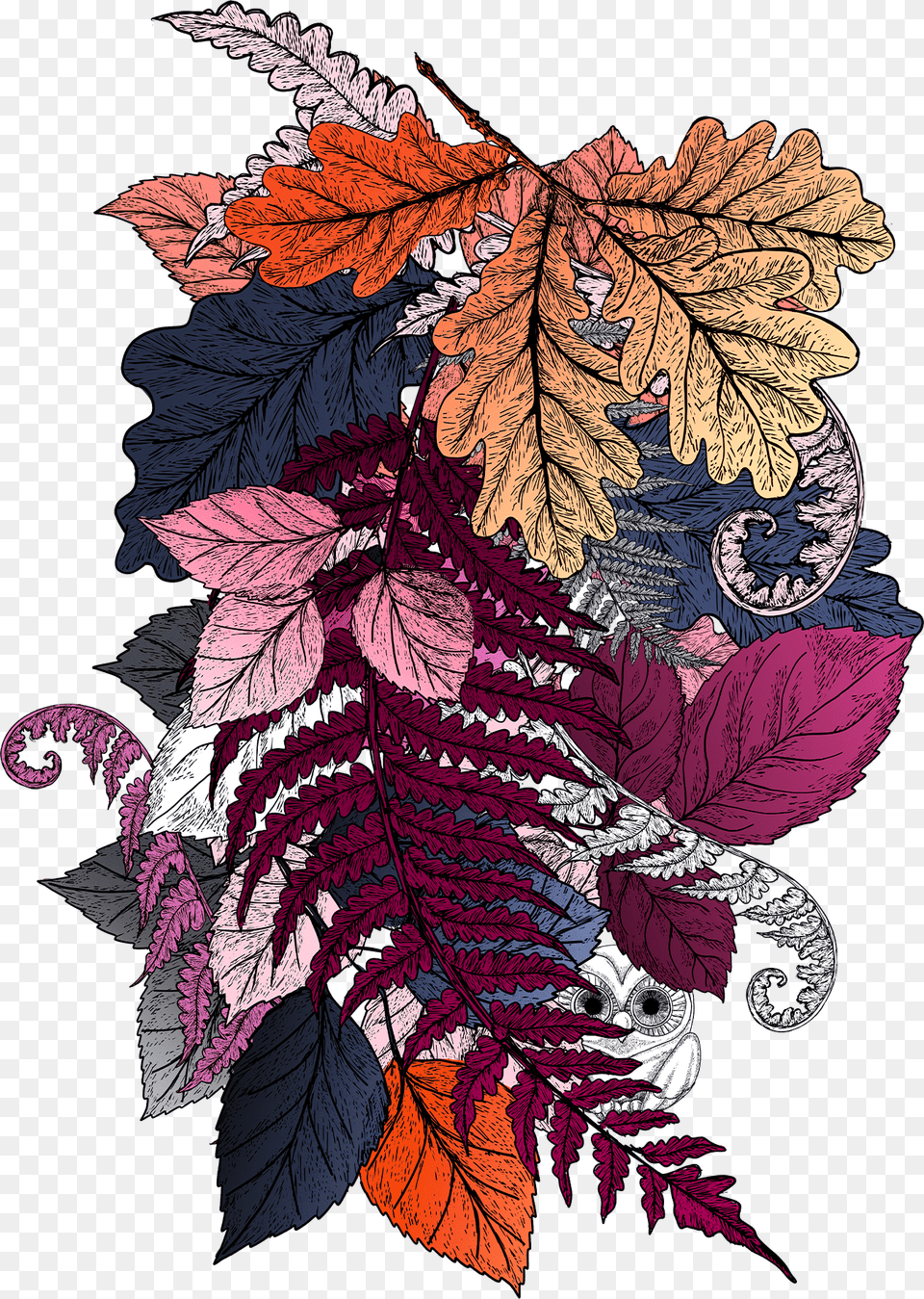 Illustration, Art, Floral Design, Graphics, Leaf Png