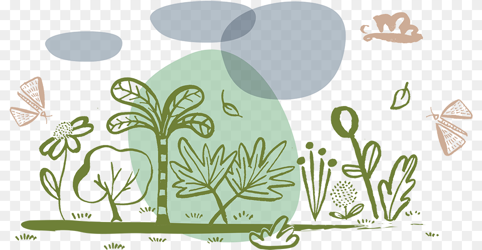 Illustration, Art, Herbal, Herbs, Plant Png Image