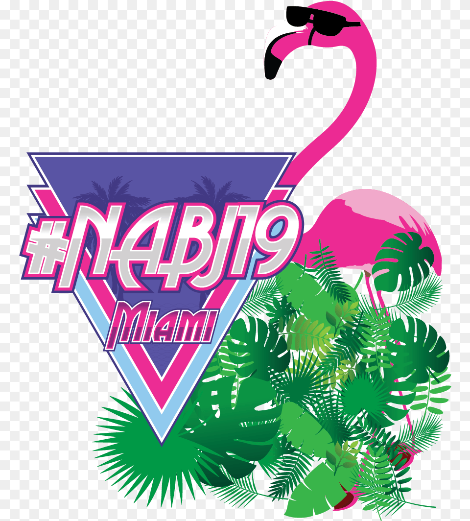 Illustration, Animal, Bird, Flamingo Free Png Download