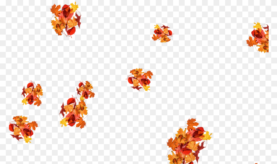Illustration, Leaf, Flower, Plant, Petal Free Transparent Png