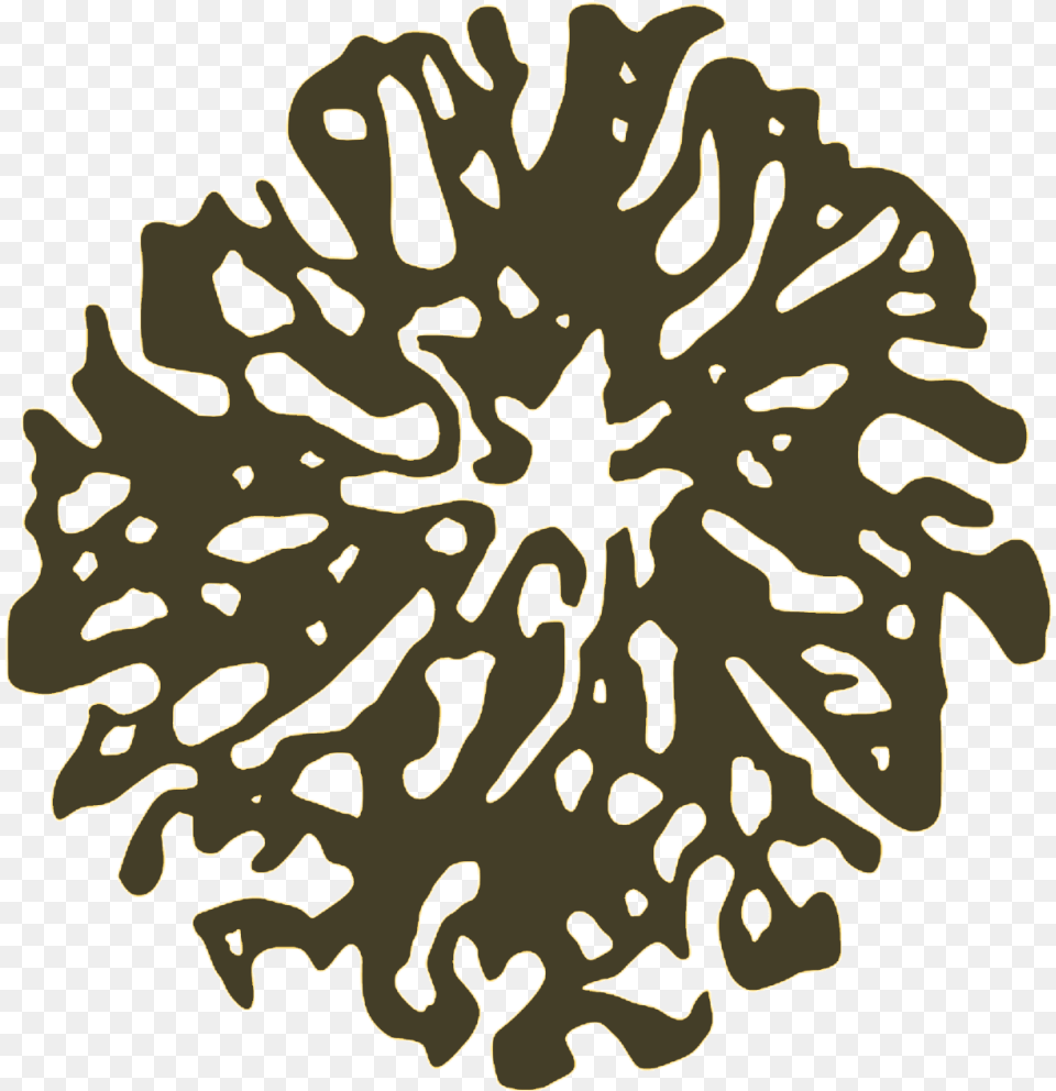 Illustration, Outdoors, Nature, Animal, Reef Png