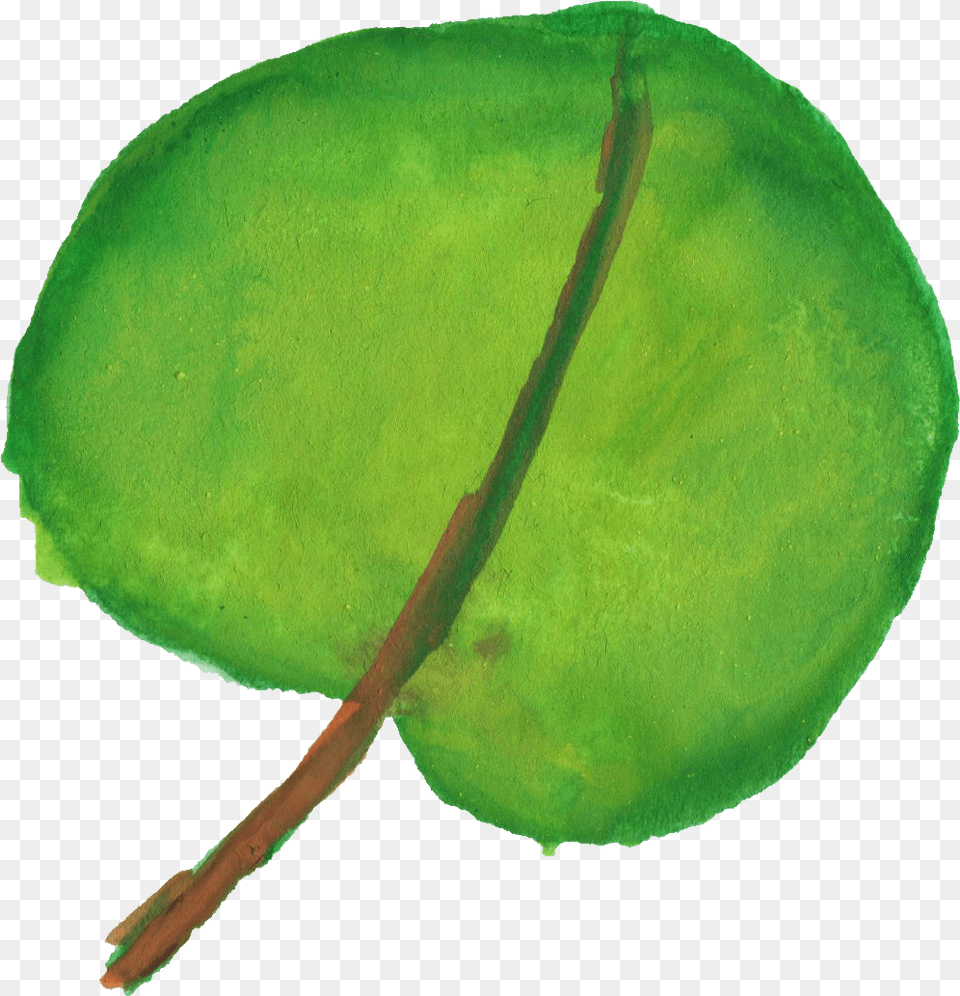 Illustration, Leaf, Plant, Green, Flower Free Transparent Png