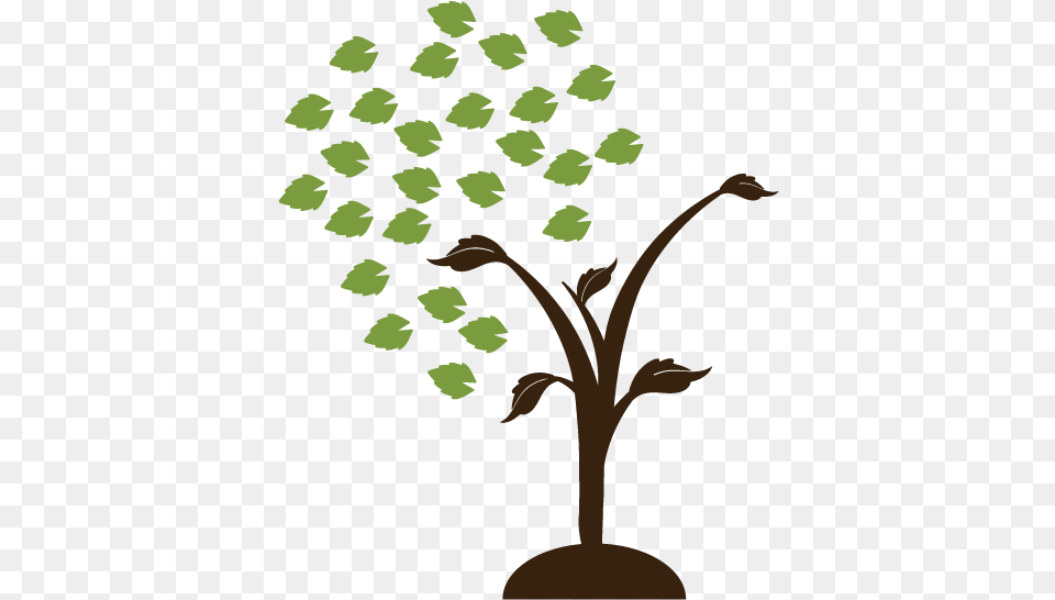 Illustration, Leaf, Plant, Green, Tree Free Transparent Png