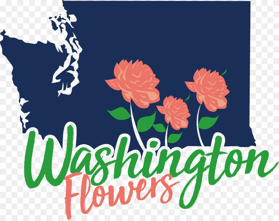 Illustration, Carnation, Flower, Plant, Dahlia Free Png