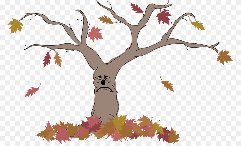 Illustration, Leaf, Plant, Tree, Maple Png