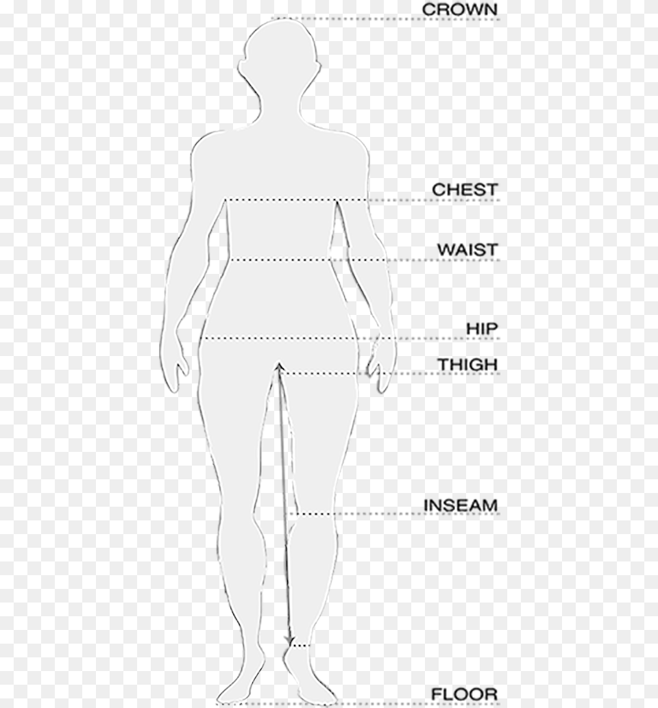 Illustration, Chart, Plot, Adult, Male Png Image